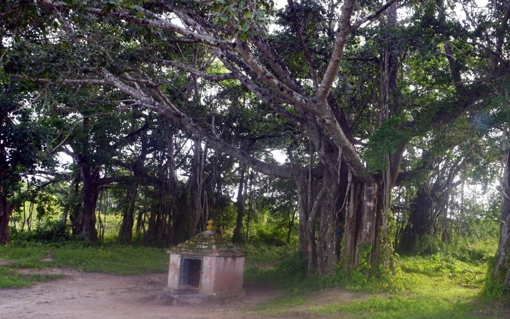 sangolli-rayanna-hanging-tree